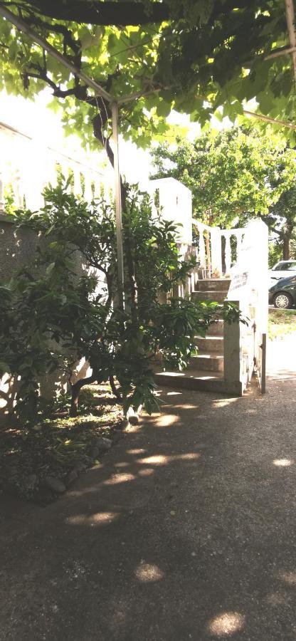 Sobe I Apartmani Marovic Petrovac エクステリア 写真